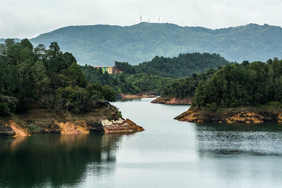 body of water near trees during daytime, river, landscape, vegetation HD wallpaper