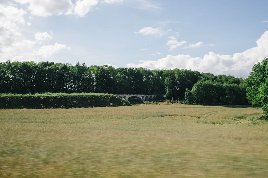 Driving by an old bridge, landscape, nature, tree, rural Scene HD wallpaper