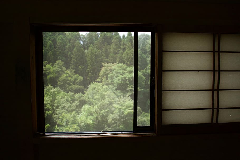 open door window, nature, trees, green, mountain, woods, forest HD wallpaper