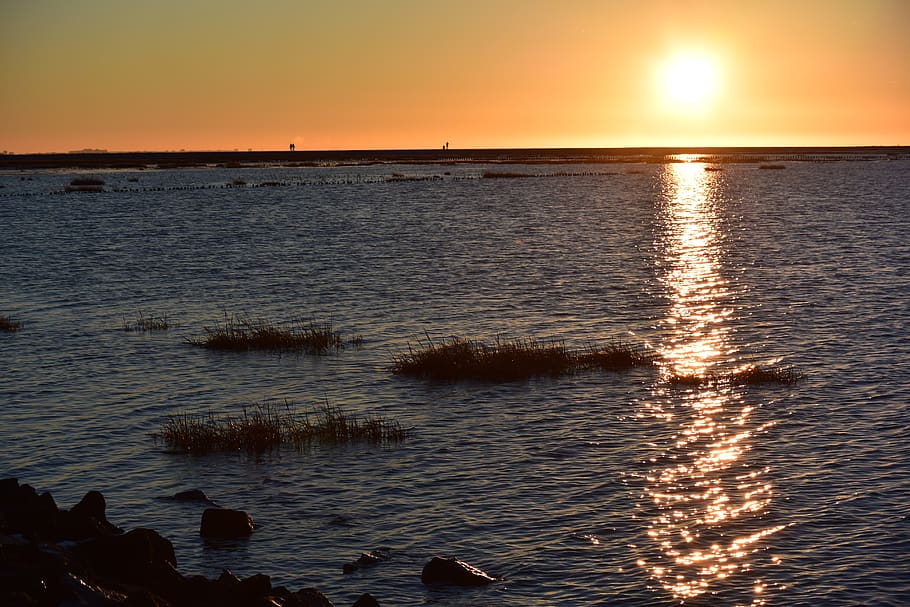 sunset, waters, dawn, sea, sky, tranquility, beauty in nature HD wallpaper