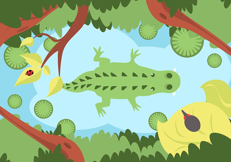 Alligator, rio, green, green color, leaf, silhouette, arts culture and entertainment HD wallpaper