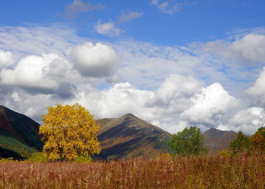 autumn, mountains, clouds, forest, trees, birch, fall colors HD wallpaper