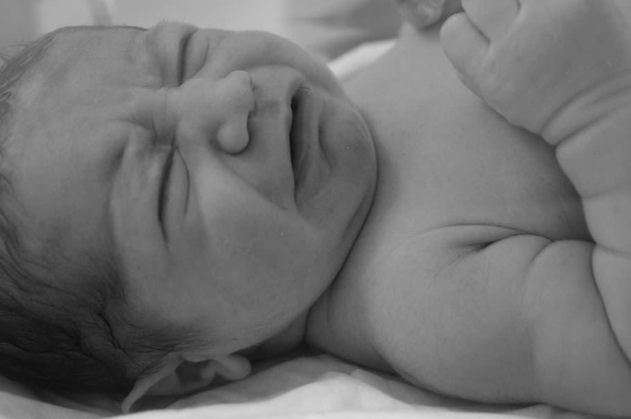 Birth, Bimbo, Male, born, just, before, photo, newborn, human body part HD wallpaper
