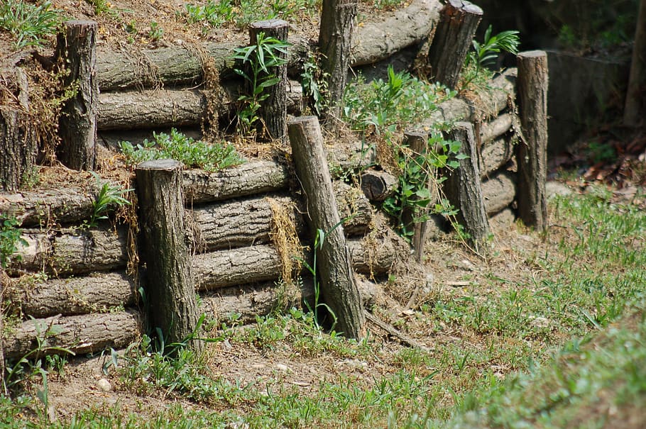 fence-picket-fence-palisade-the-cut-off.jpg