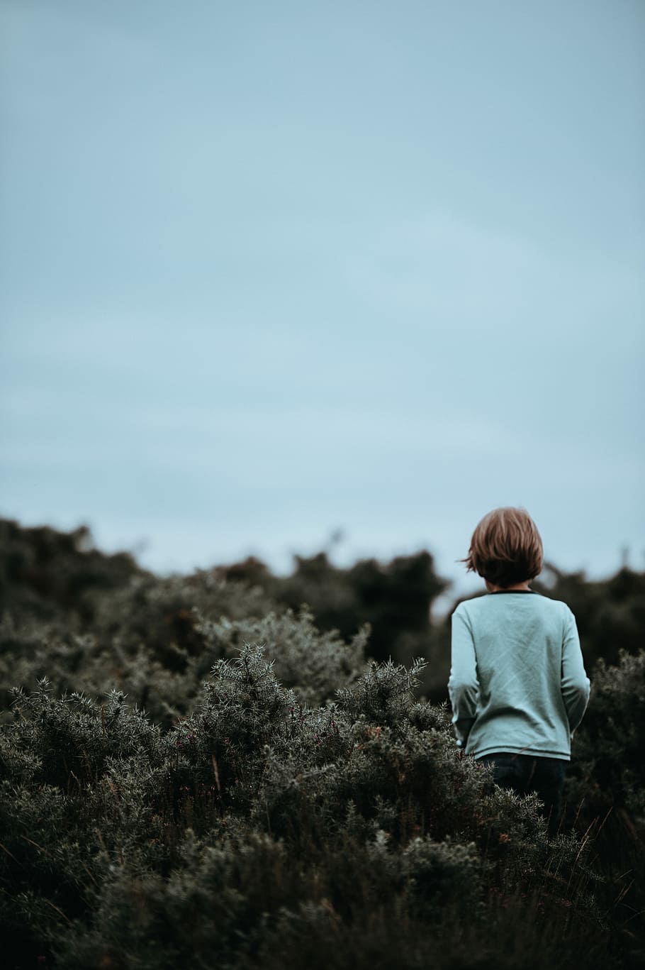 boy in teal long-sleeved shirt on grass, portrait, nature, dark HD wallpaper