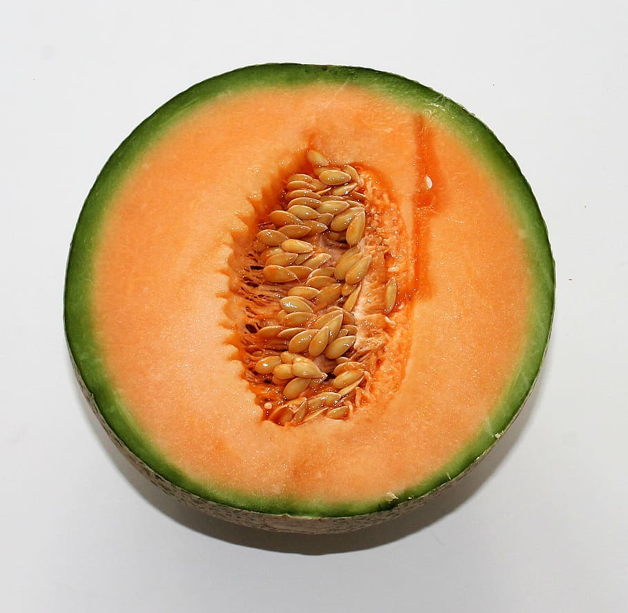 slice squash, melon, food, fruit, orange, foundry core, health HD wallpaper