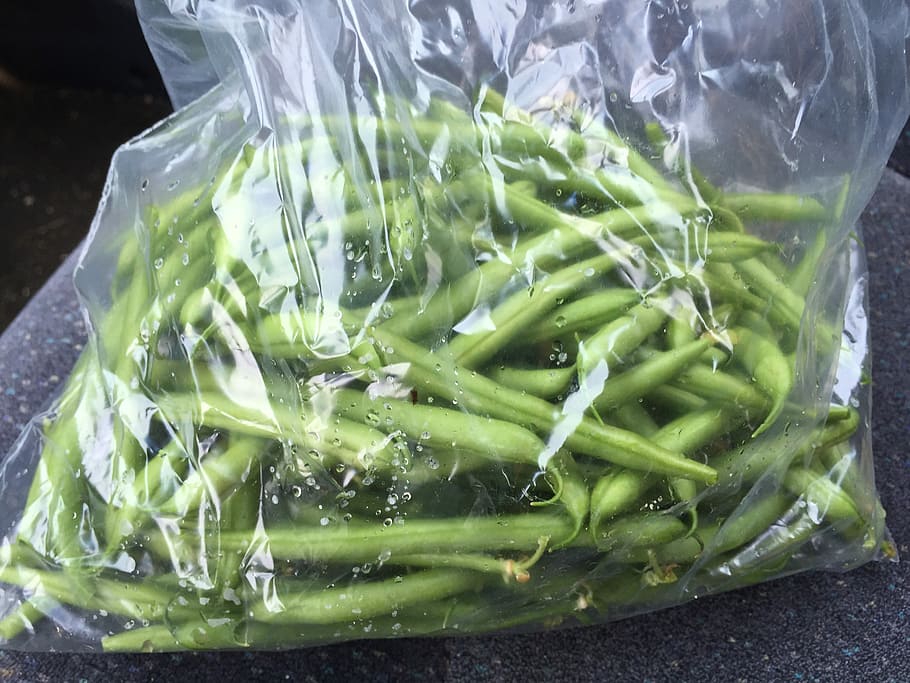 Green Beans, Plastic Bag, Vegetable, food, freshness, green Color HD wallpaper