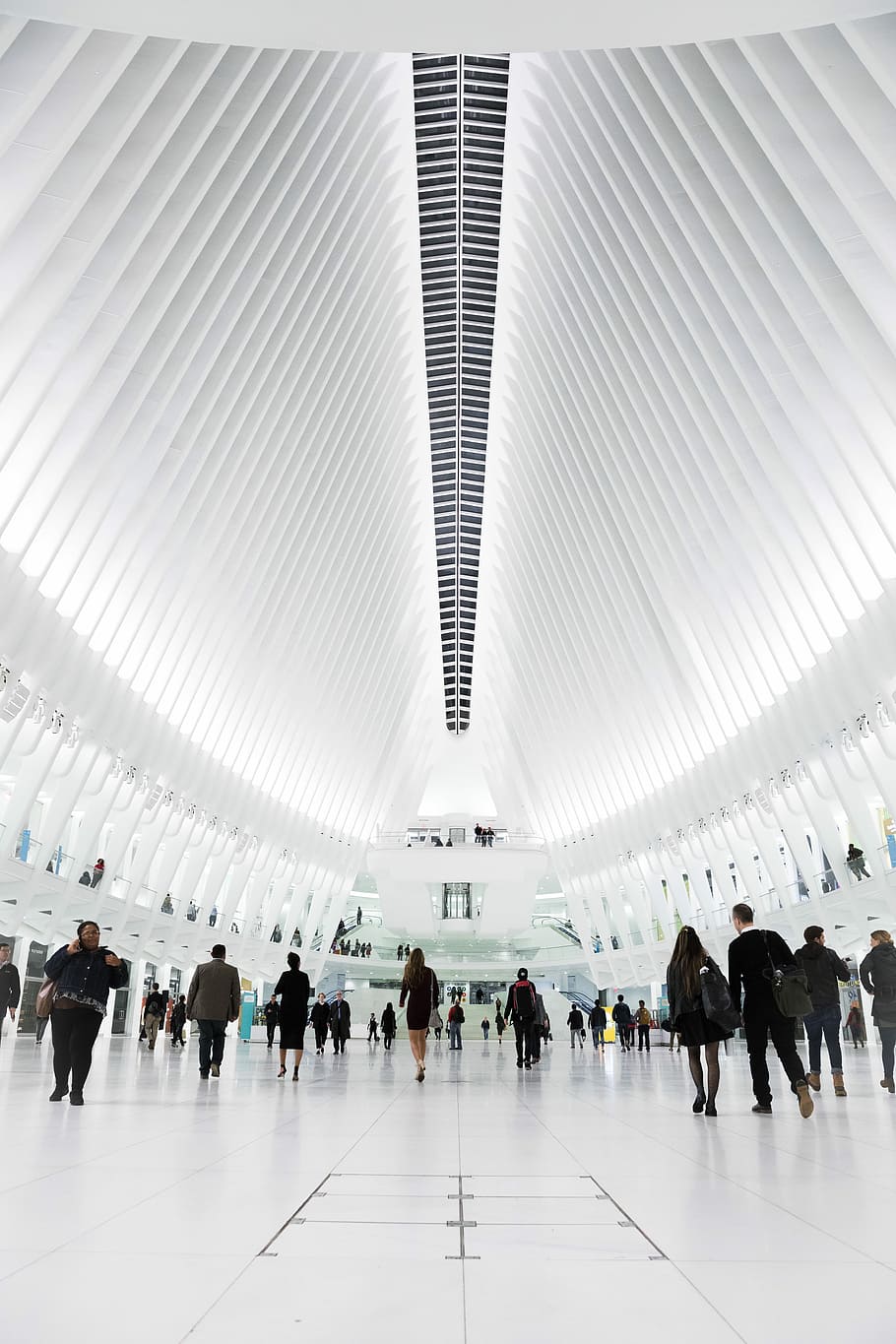 group of people inside stadium, people walking inside white building HD wallpaper