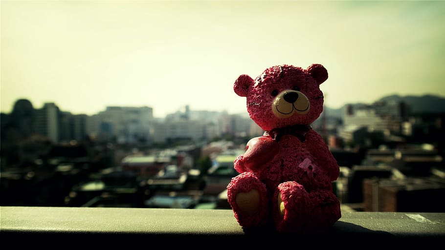 teddy, bear, toy, focus on foreground, stuffed toy, teddy bear HD wallpaper