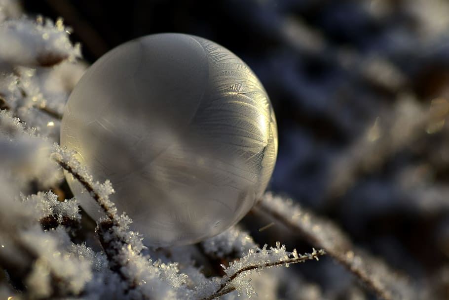 shallow focus photography of clear plastic ball, bubble, soap bubble HD wallpaper