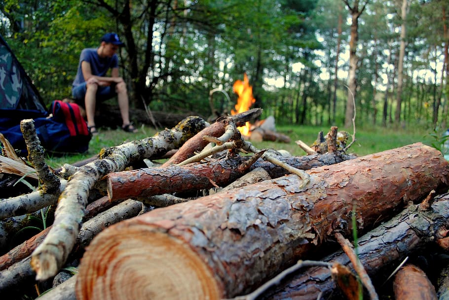 man, fire, forest, koster, trees, tent, backpack, summer, tourism HD wallpaper