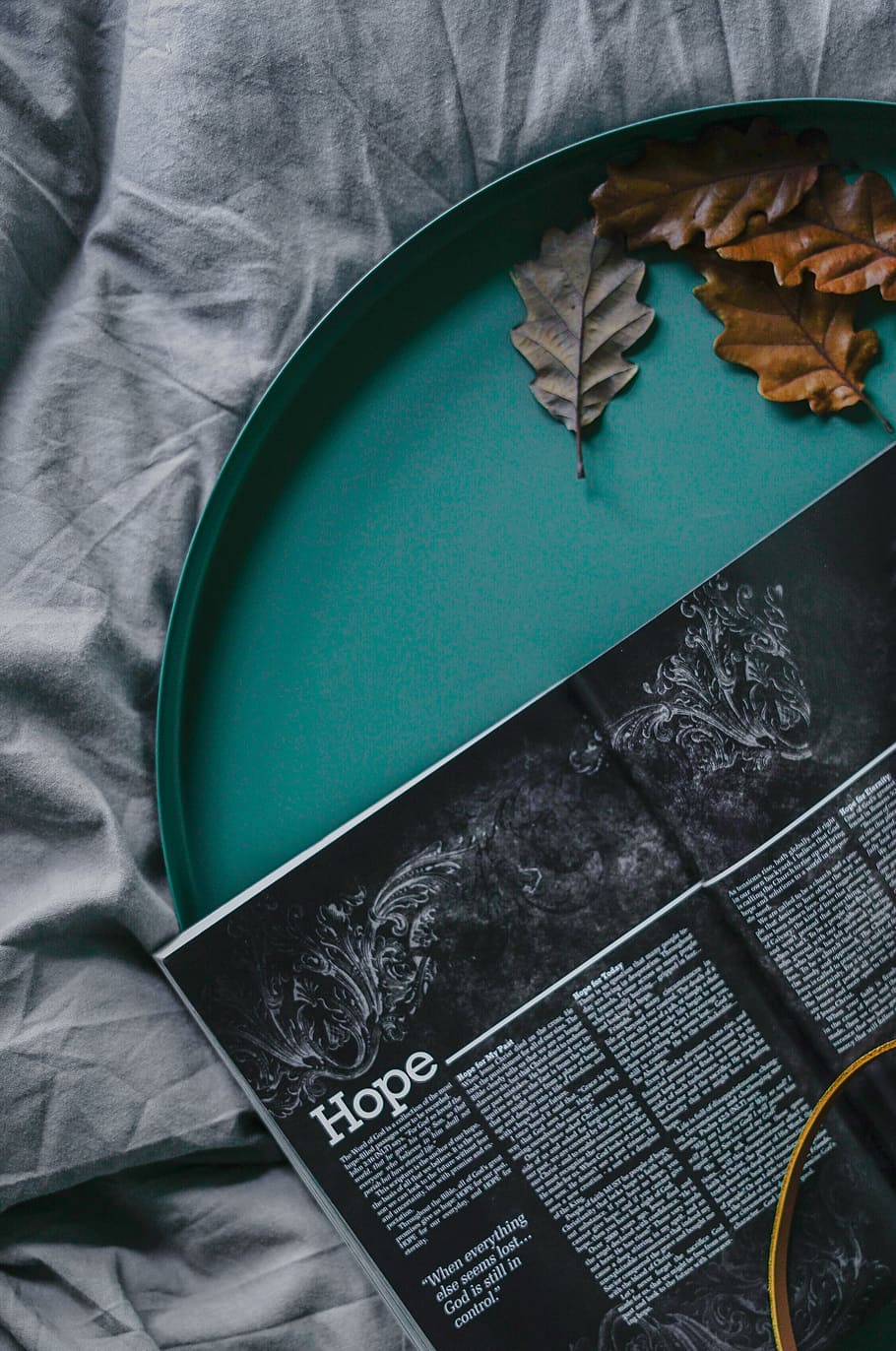 book and dried leaves on green plate, Hope box, tray, bed, sheets HD wallpaper