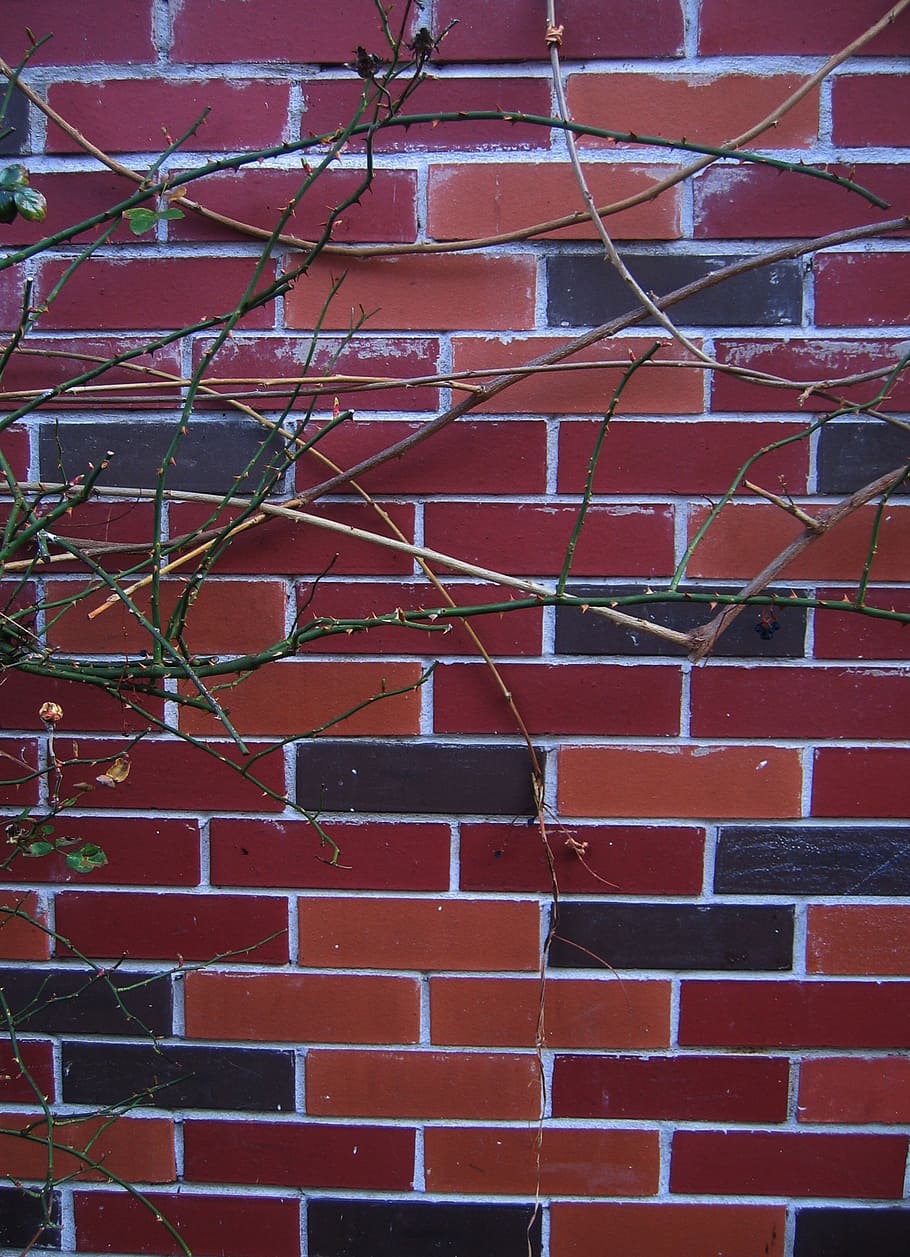 wall, stones, stone wall, texture, masonry, background, backgrounds HD wallpaper