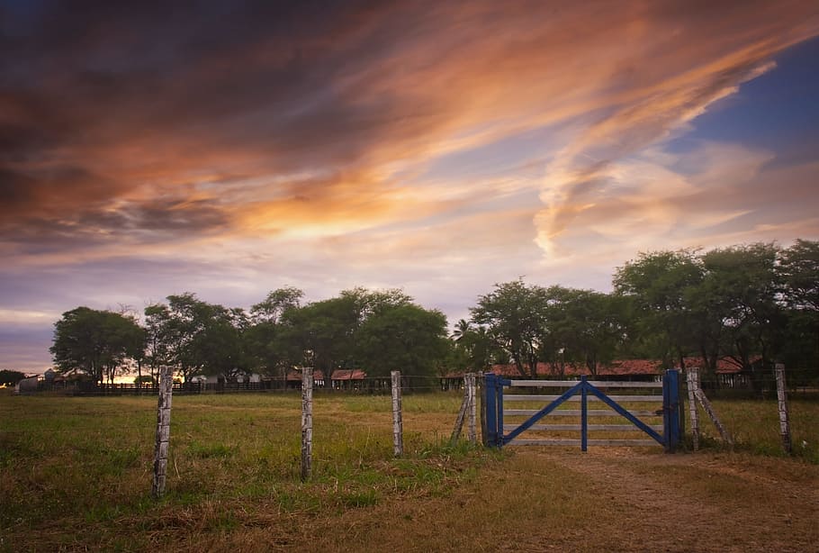 landscape, sky, farm, site, cloud, clouds, ceu, nature, brazil HD wallpaper