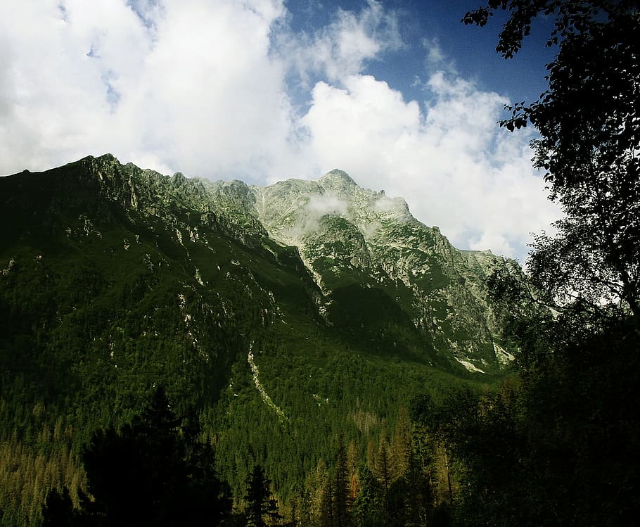 mountain, rock, peaks, snowclad, snowy, nature, forest, tree, HD wallpaper