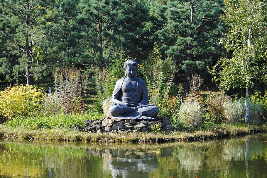 gautam buddha statue in water