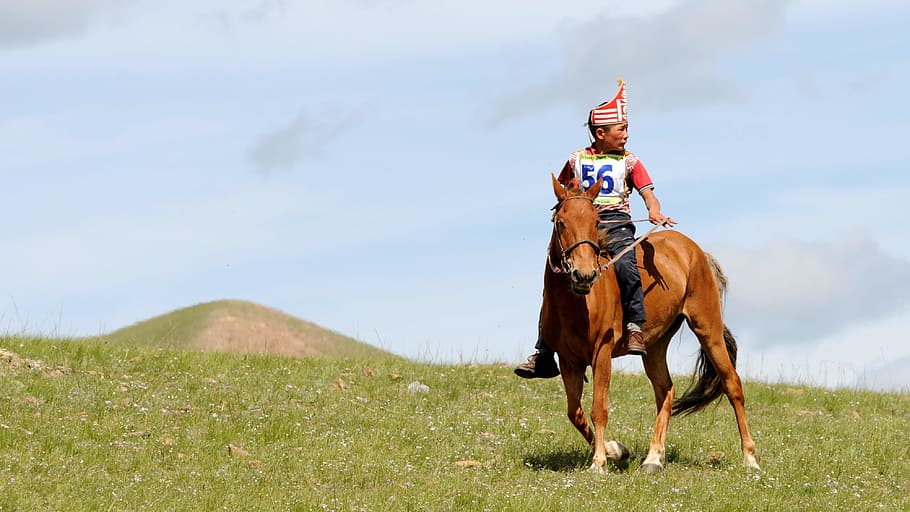 mongolia, reiter, competition, winner, nature, domestic animals HD wallpaper