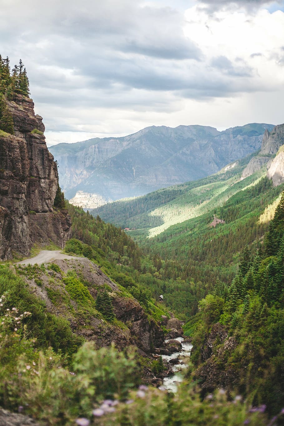river surrounded by green leaf trees and plants in front of mountain view photography HD wallpaper