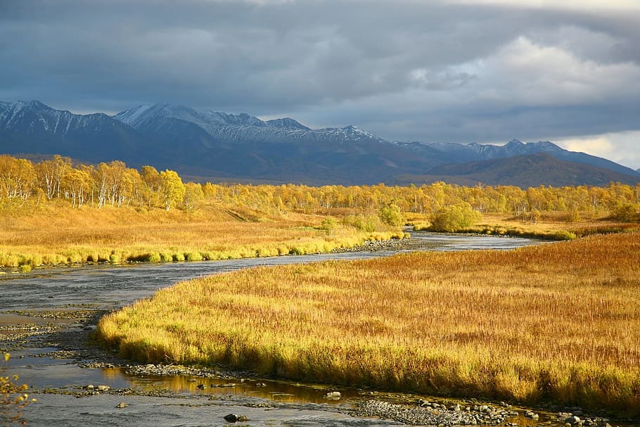 field of grass beside body of water, river, back on track, for