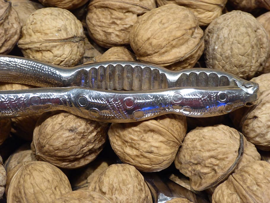 nuts, walnuts, nutrition, nutcracker, close up, walnuts in the shell HD wallpaper