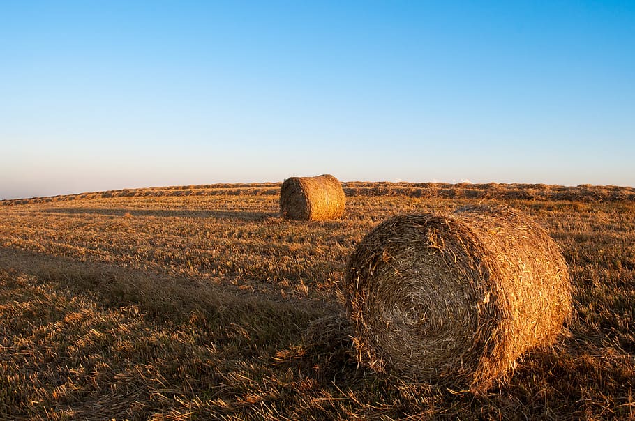 hay, bales, fields, farming, country, rural, harvesting, landscape HD wallpaper