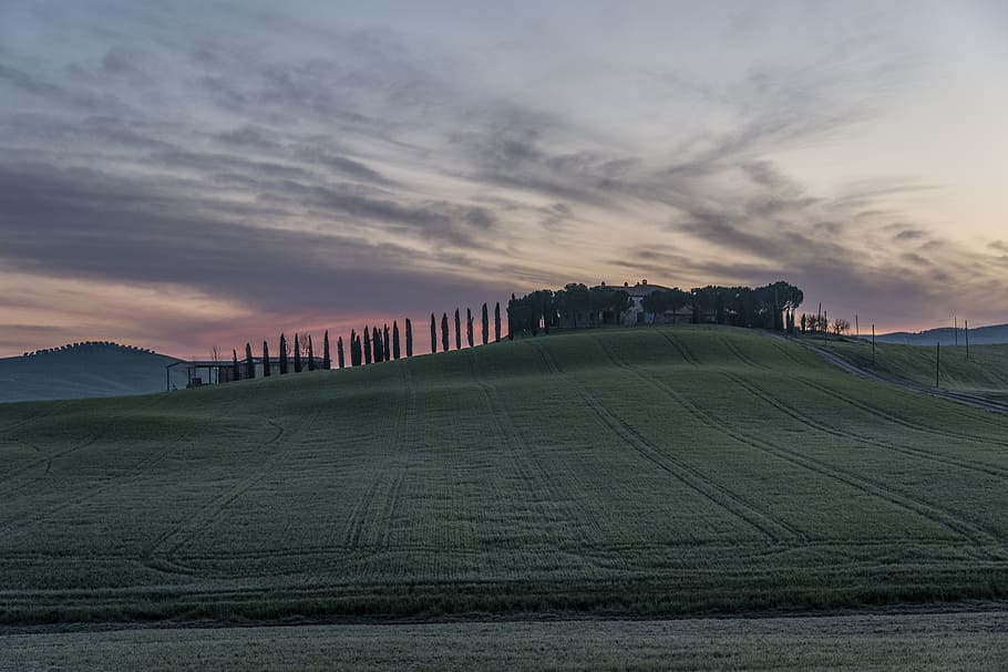 landscape photography of fields, vineyard, home, business, wine, HD wallpaper