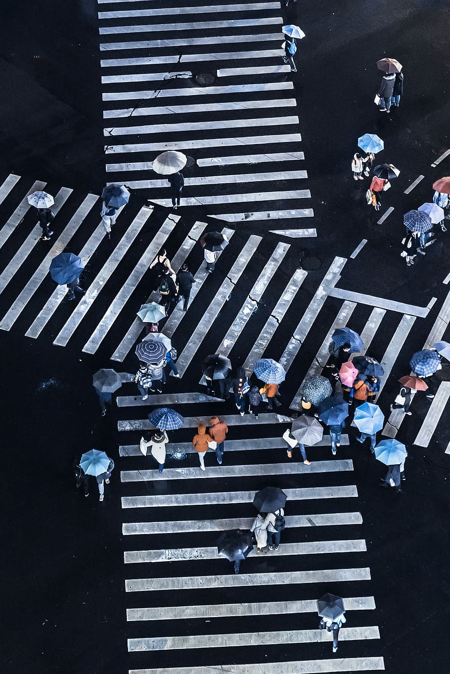 group of people crossing pedestrian lane, tilt shift photography of people crossing pedestrian lane