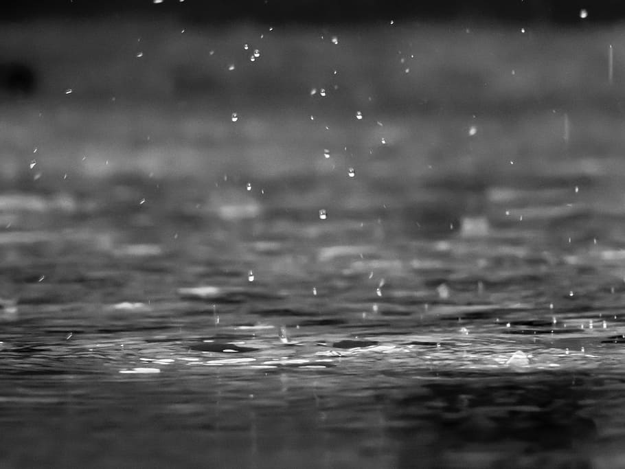 grayscale photo of raindrops, water, body, raining, rain drops HD wallpaper