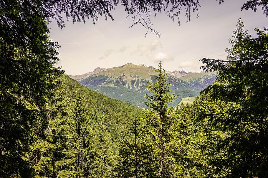 mountains, forest, alpine, clouds, sky, valley, vision, trees HD wallpaper