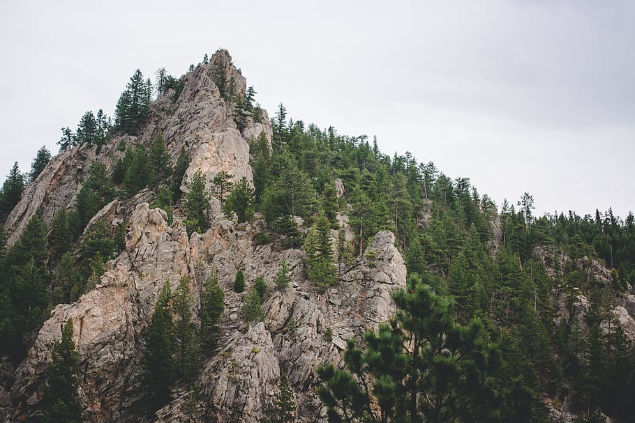 landscape photography of mountain and trees, rock mountain with green trees under grey sky HD wallpaper