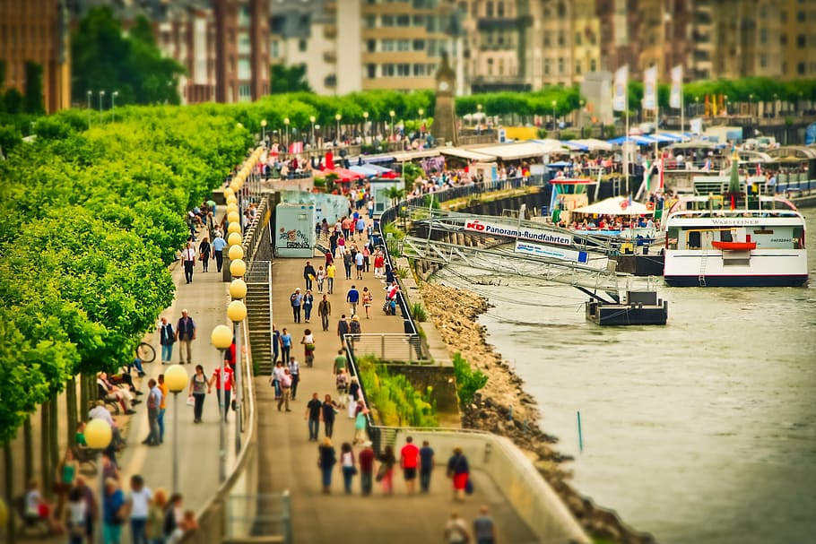 people on standing beside body of water, crowd, human, personal HD wallpaper