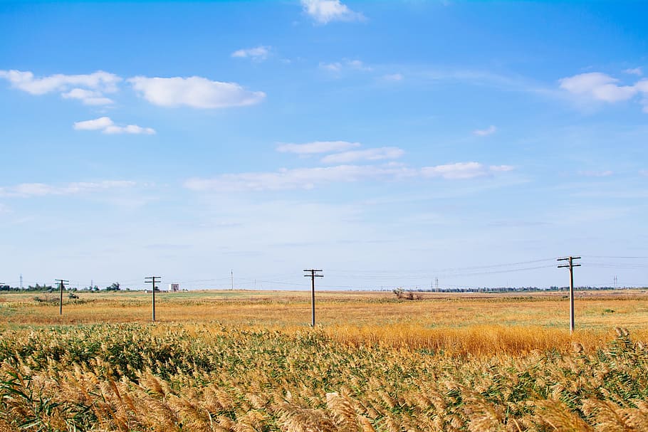 blue, sky, sunshine, summer, clouds, rural, countryside, power lines HD wallpaper
