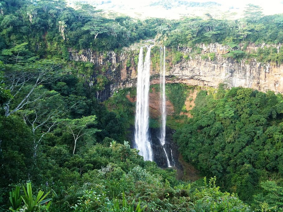 aerial photo of waterfalls, mauritius, jungle, tree, plant HD wallpaper