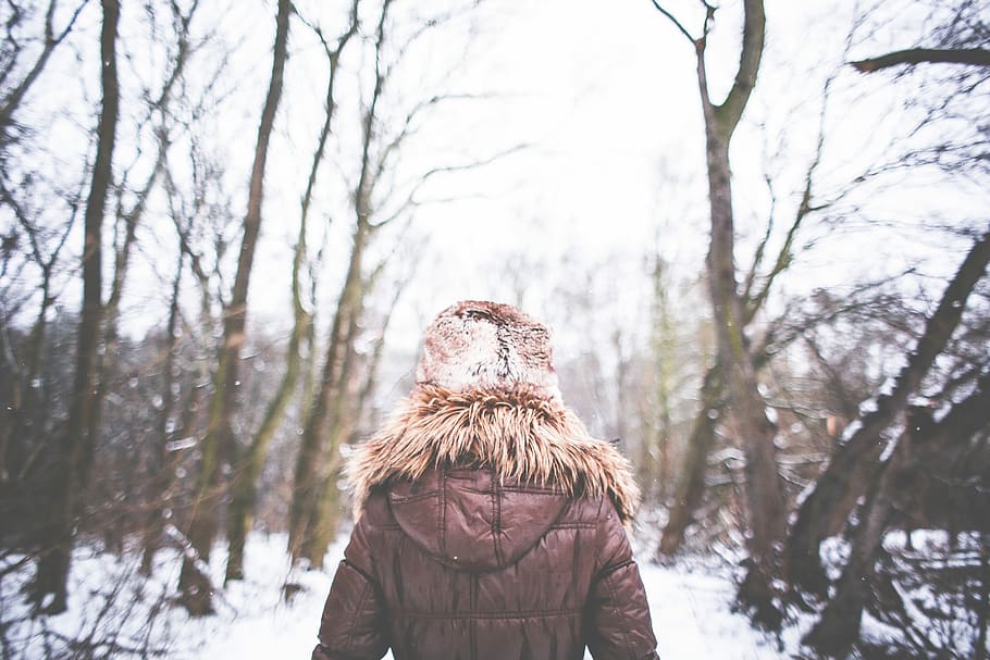 Girl Walking in Snowy Forest, cold, winter, outdoors, women, nature