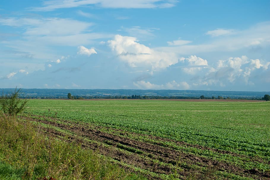 Field, Clouds, Landscape, agriculture, nature, beauty in nature HD wallpaper