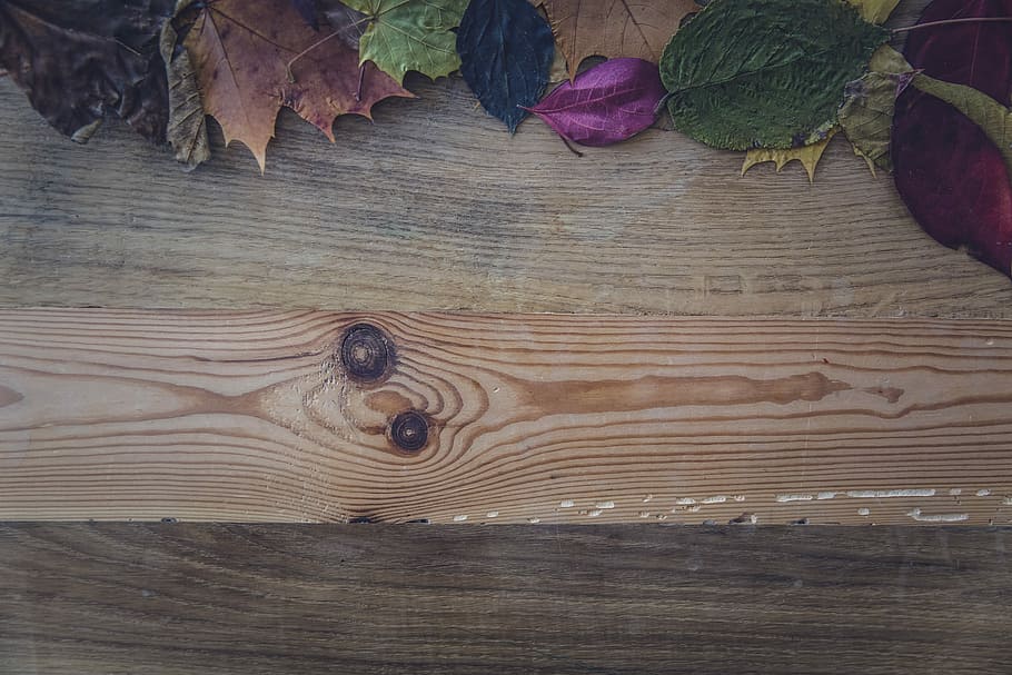 brown wooden plank, photo of brown plank beside leaves, table HD wallpaper