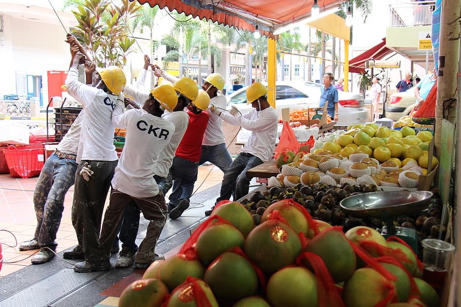 workers, construction, heave, fruit, food and drink, healthy eating HD wallpaper