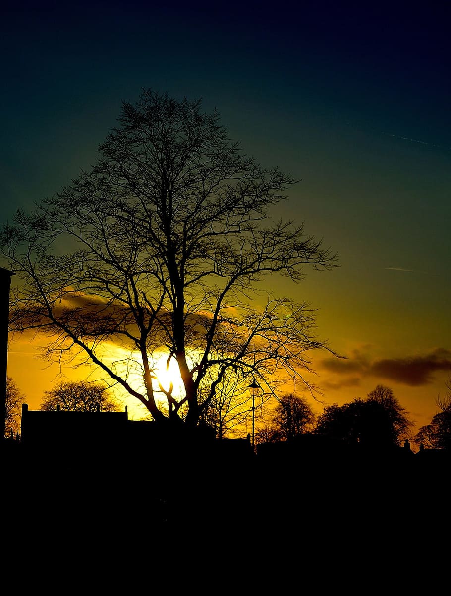 Clouds, Spring, Night, Sky, Tree, trees, sunset, red, seasons HD wallpaper
