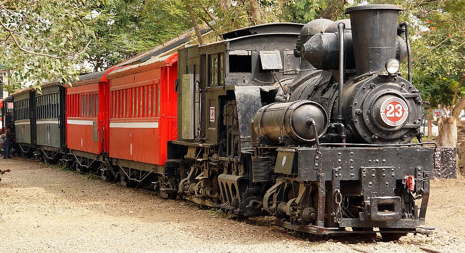 black and red train passing near green trees, steam, locomotive