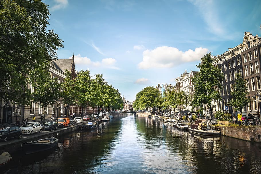 buildings, structure, trees, plant, nature, canal, water, boat HD wallpaper