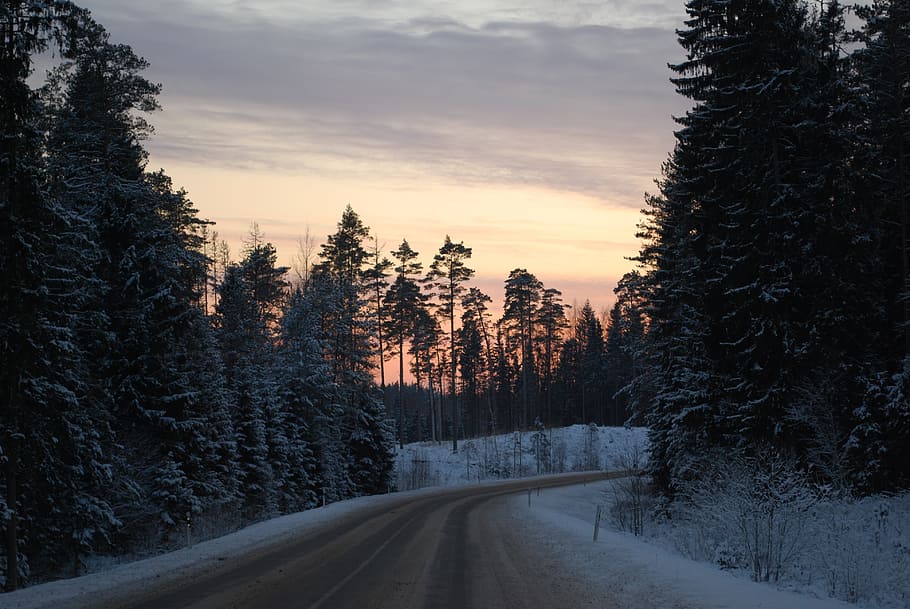 way, road, winter, snow, season, nature, sunset, forest, landscape HD wallpaper