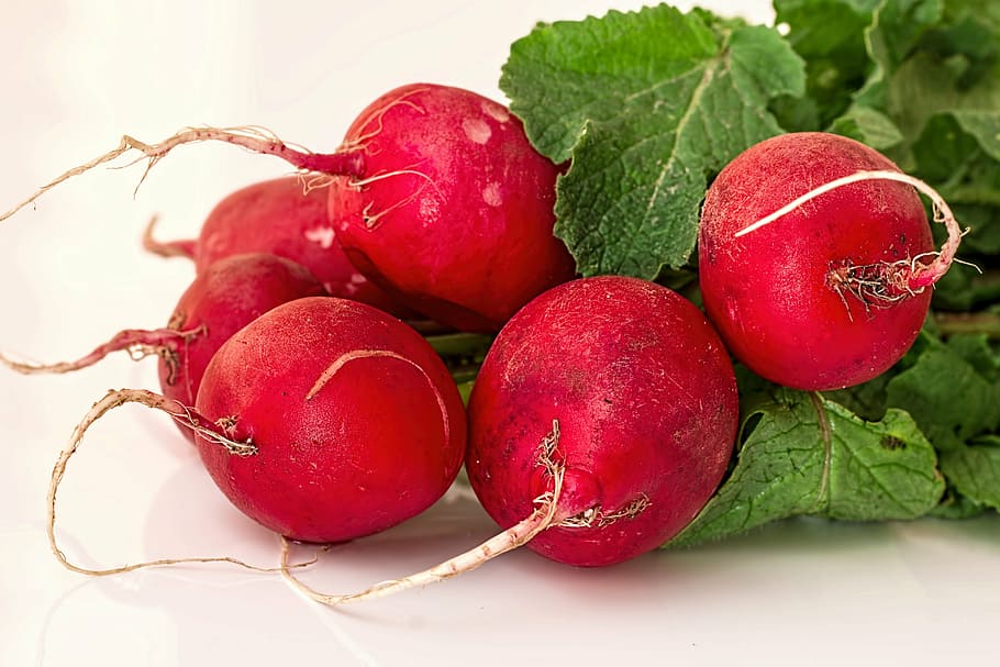 focus photography of red fruits, radish, vegetable, root, salad HD wallpaper