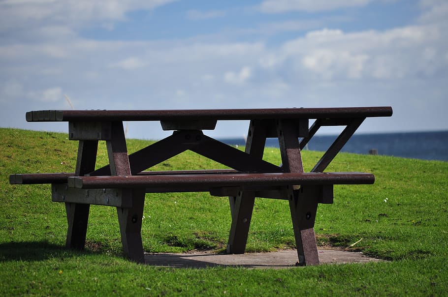 Dining Table, Bench, Picnic Table, grass, field, green color HD wallpaper