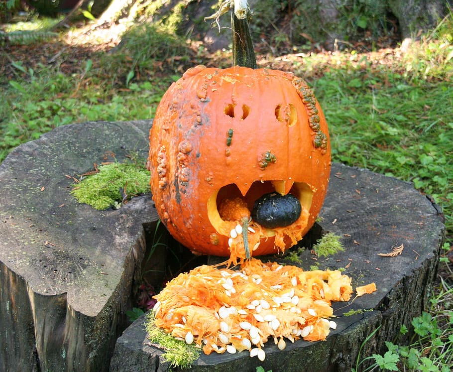 halloween, jack o'lantern, pumpkin, pumpkin carving, october, HD wallp...
