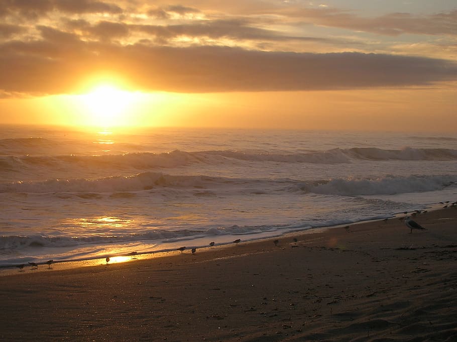 sunrise, beach, sunset, sky, land, beauty in nature, water HD wallpaper