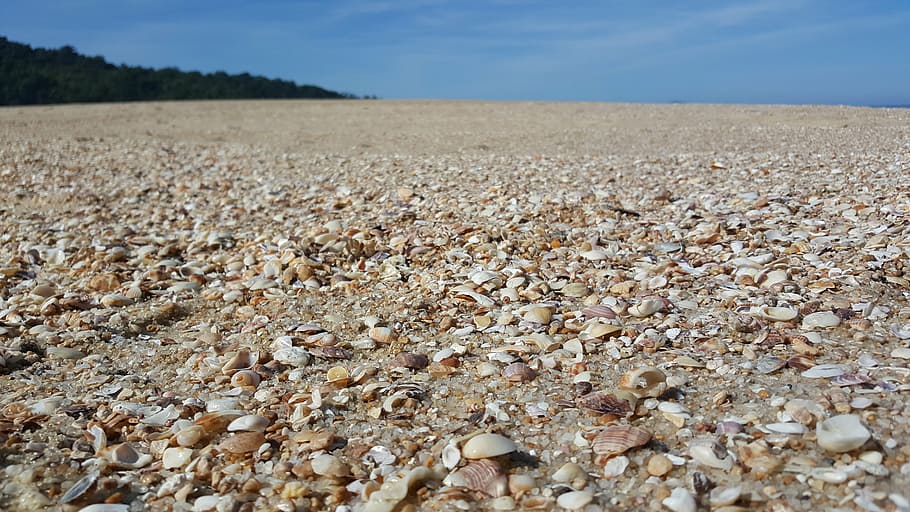 beach, shells, sky, blue, mar, hill, brazil, beira mar, sand HD wallpaper