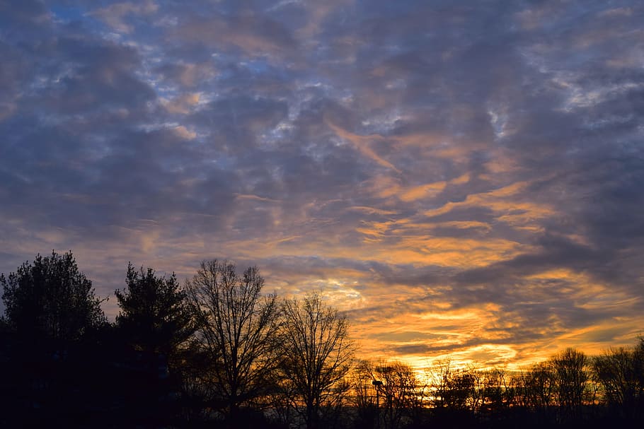 silhouette of trees during sunset, landscape, clouds, sky, outdoors HD wallpaper