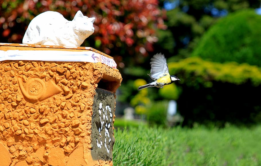 tit, bird, fly, flight, feed, feeding, animals, nature, small bird HD wallpaper