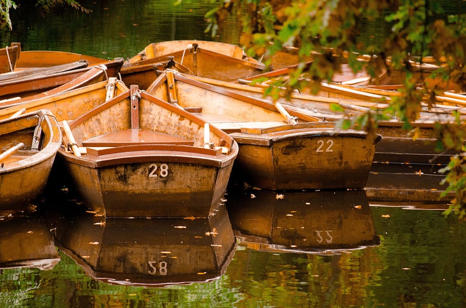 pile of brown wooden boats on body of water, bürgerpark, fall HD wallpaper