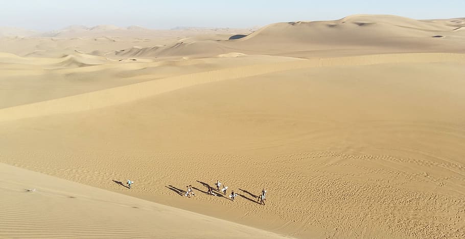 sandboarding in the desert, aerial photograph of people walking on desert HD wallpaper